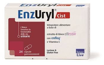 ENZURYL Cist 24 Cps - Lovesano