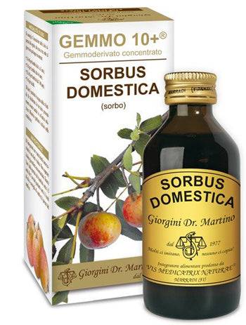 SORBO 100ML ANALCO GEMMO 10+ - Lovesano