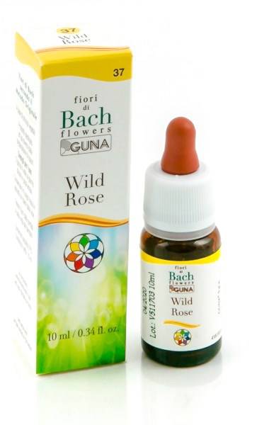 HE.WILD ROSE GUN GTT 10ML F.BA - Lovesano
