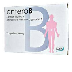 ENTEROB IMMUNO 15CPS 500MG - Lovesano