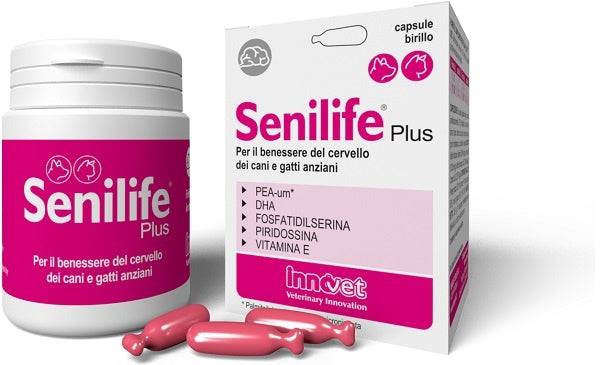 SENILIFE PLUS 30CPS - Lovesano