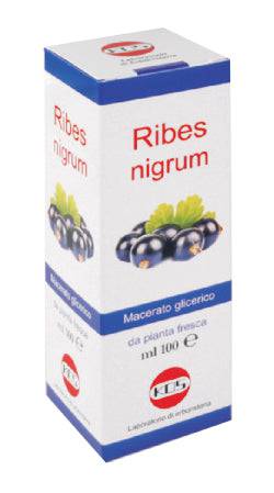 RIBES NIGRUM MG 100ML GTT KOS - Lovesano