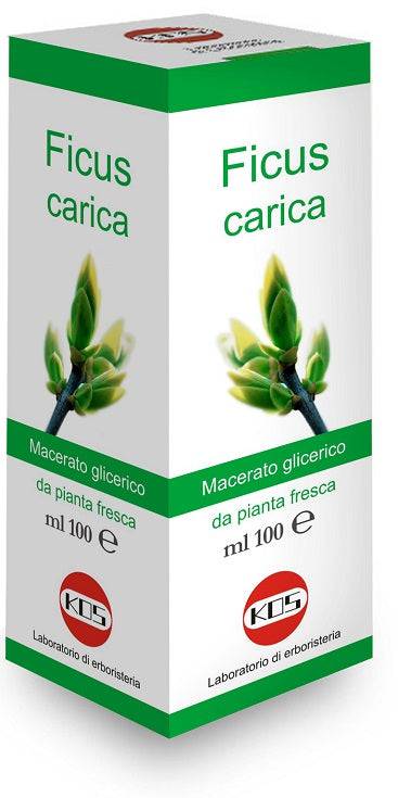FICUS CARICA MG 100ML GTT - Lovesano