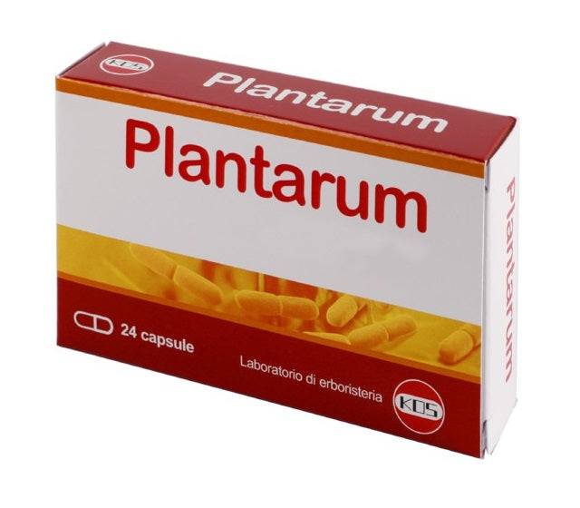PLANTARUM 10MLD 24CPS - Lovesano