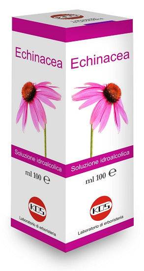 ECHINACEA SOL IAL PIANTA FR100 - Lovesano