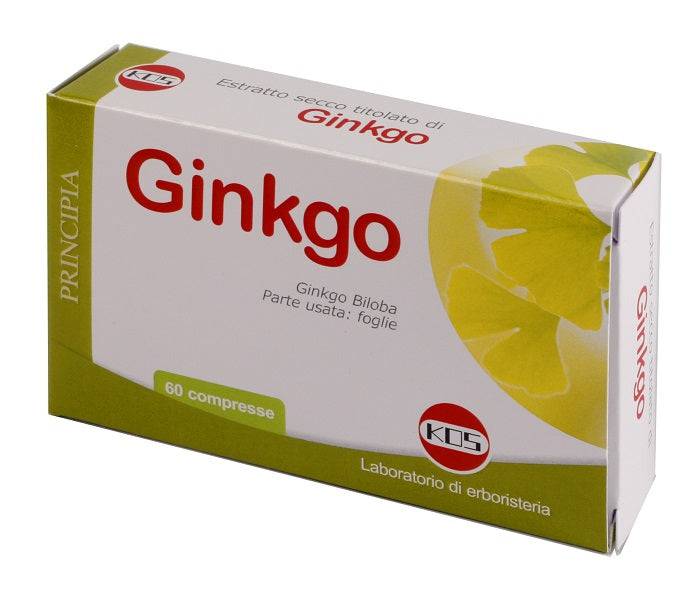 GINKGO BILOBA ESTR SEC 60CPR - Lovesano