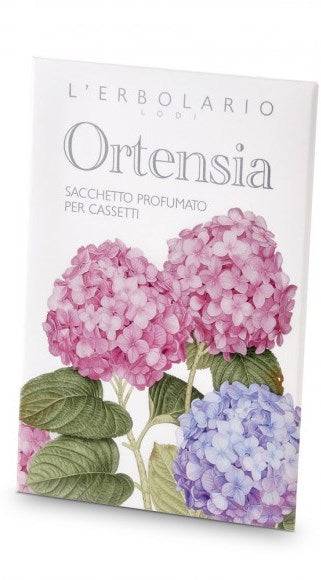 ORTENSIA SACCHETTO PROF CASSET - Lovesano
