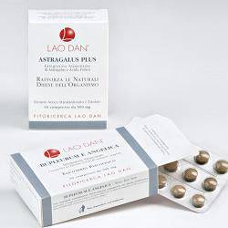 GINSENG Schisandra 60 Cpr - Lovesano