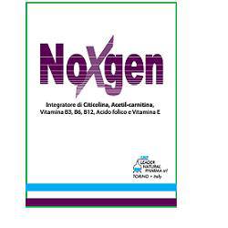 NOXGEN 15 BUSTINE - Lovesano