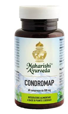 CONDROMAP 60TAV 30G - Lovesano