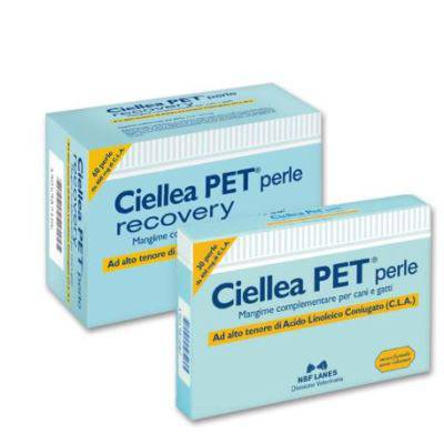 CIELLEA PET RECOVERY 60PRL - Lovesano