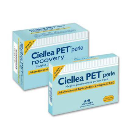 CIELLEA PET RECOVERY 60PRL - Lovesano 