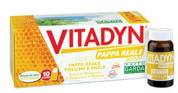 VITADYN PAPPA REALE 1000 10FL - Lovesano