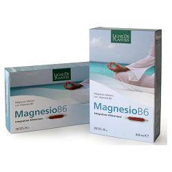 MAGNESIO B6 20AB 15ML - Lovesano