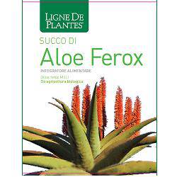 SUCCO ALOE FEROX BIO 1LT - Lovesano