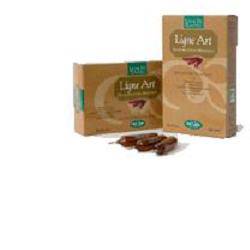 LIGNE ART 20ABX15ML - Lovesano