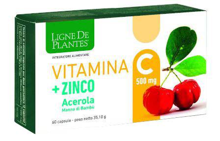 VITAMINA C 500MG+ZI/AC/BA60CPS - Lovesano