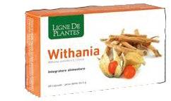 WITHANIA 60 Cps Nse - Lovesano
