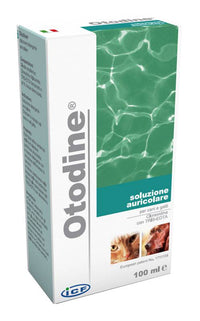 OTODINE DET LIQ 100ML - Lovesano