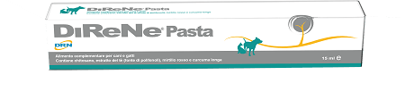 DIRENE PASTA 15ML - Lovesano