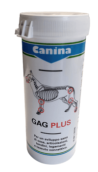 GAGPLUS 100 ca.60 Cpr - Lovesano