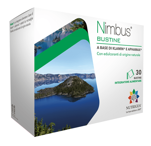 NIMBUS 30BUST - Lovesano