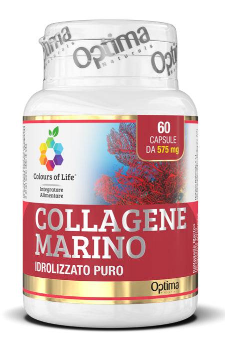 COLLAGENE MARINO IDR 60CPS OPTIM - Lovesano
