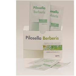 PILOSELLA BERBERIS 30BUST - Lovesano