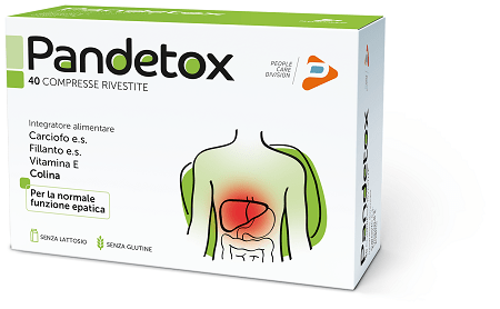 PANDETOX 40Cpr Riv. - Lovesano