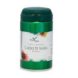 CARDO MARIANO 60CPS - Lovesano
