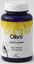 OLIVO 60CPS - Lovesano