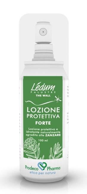 LEDUM THE WALL LOZ PROT FT - Lovesano