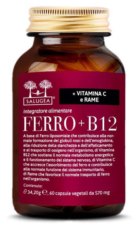 SALUGEA Ferro+ B12 60 Cps - Lovesano