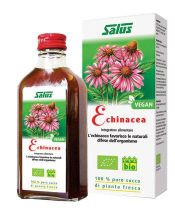 ECHINACEA SUCCO S/ALC 200ML - Lovesano