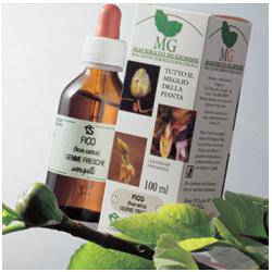 SEQUOIA 100ML MG - Lovesano