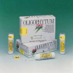 OLIGOPHYTUM RAM-O-AR 300MCPR - Lovesano