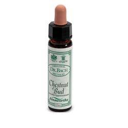 AINSWORTHS CHESTNUT BUD 10ML - Lovesano