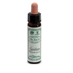AINSWORTHS GENTIAN 10ML - Lovesano