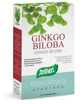 GINKGO BILOBA 40CPS - Lovesano