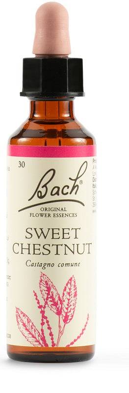 SWEET CHEST BACH ORIG 20ML - Lovesano
