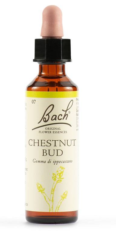 CHESTNUT BUD BACH ORIG 20ML - Lovesano