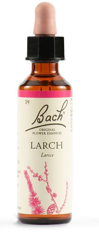 LARCH BACH ORIG 20ML - Lovesano