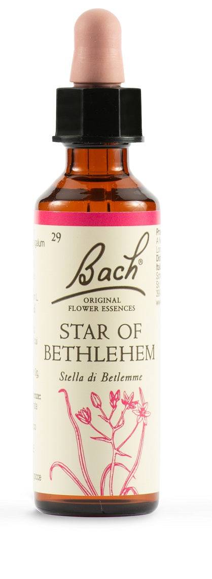 STAR OF BETHL ORIG 20ML - Lovesano