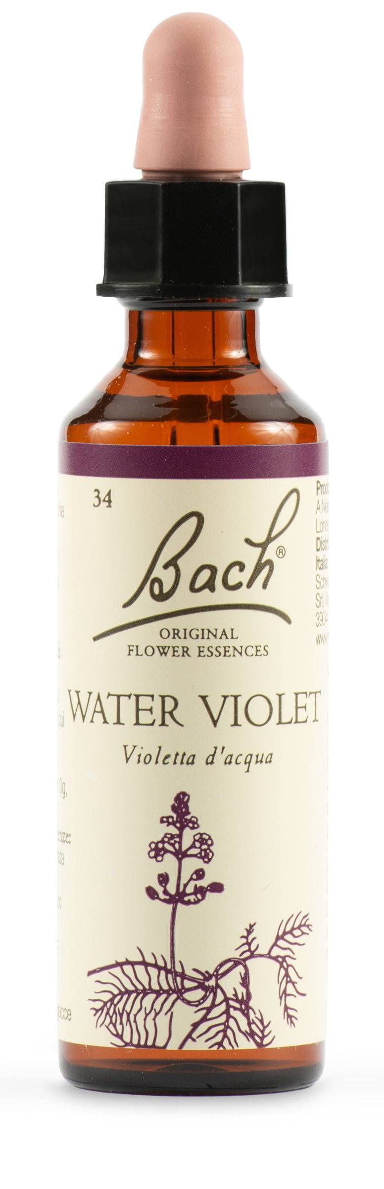 WATER VIOL BACH ORIG 20ML - Lovesano