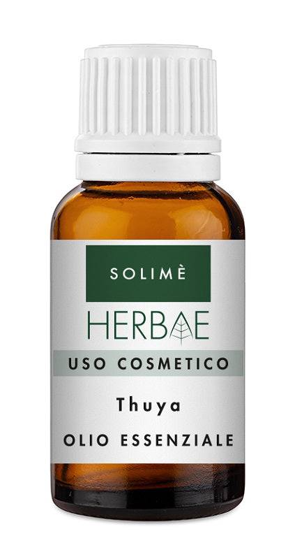 THUYA OLIO ESSENZIALE 10ML - Lovesano
