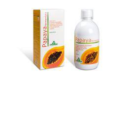 PAPAYA FERMENTATA 500ML SPECCH - Lovesano