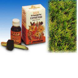 CIPRESSO OLIO ESS 10ML SPECCH - Lovesano