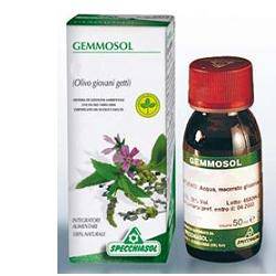 GEMMOSOL 36 RIBES NERO 50ML - Lovesano