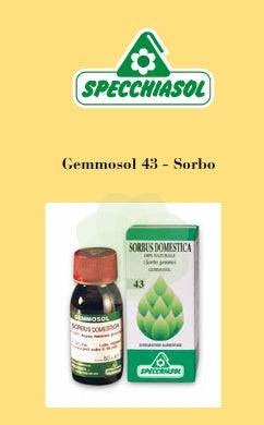 SORBUS DOMES.1DH Gemme 50ml - Lovesano