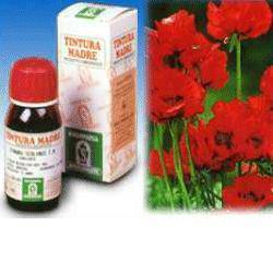 SP.ESCOLZIA(Sol.Idroalc.13) - Lovesano